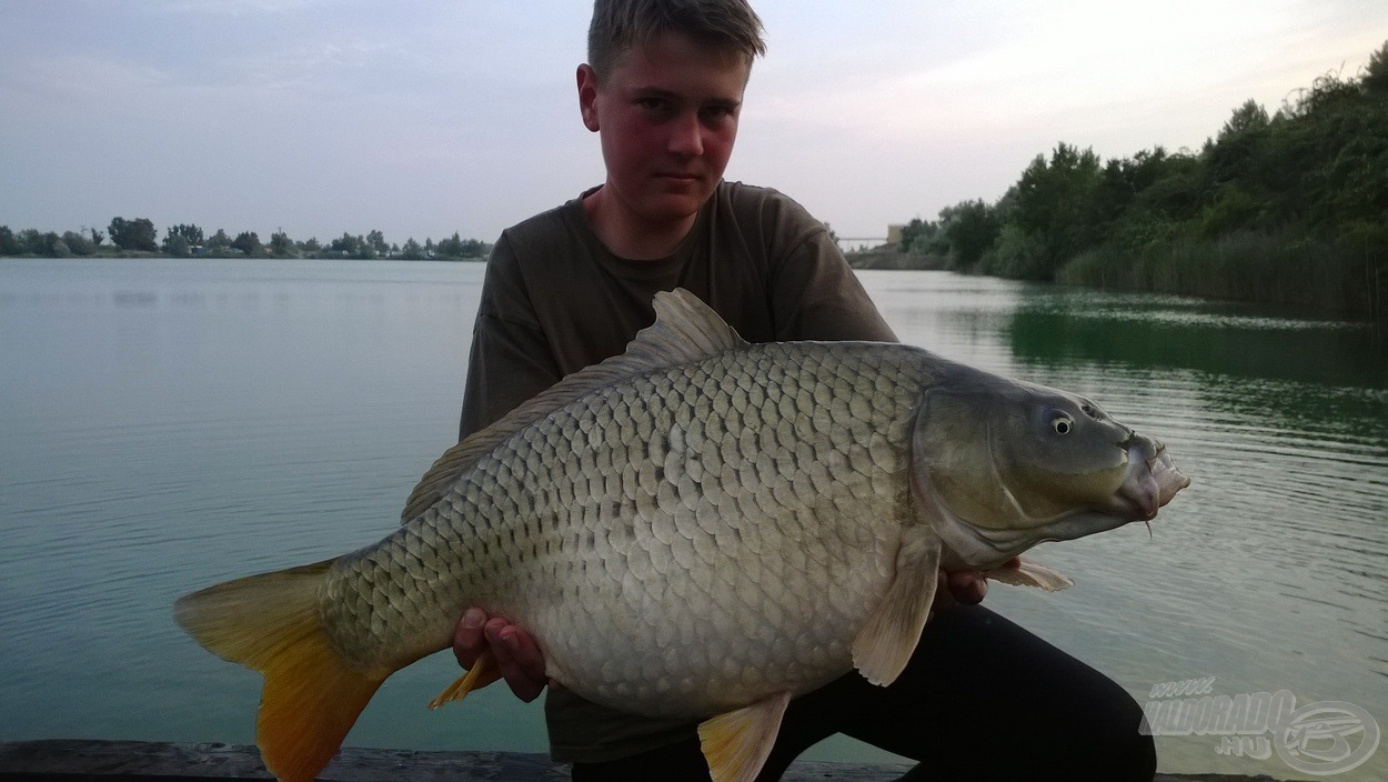 15 kg-os gyönyörűség