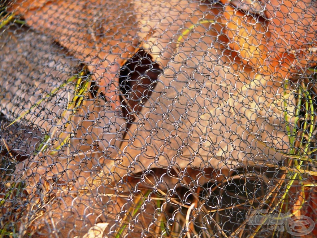 A drótháló lyukbősége lehetővé teszi, hogy a belehelyezet csontkukacok és a kisebb szemcseméretű etetőanyagok gondtalanul kimászhassanak, kimosódhassanak…