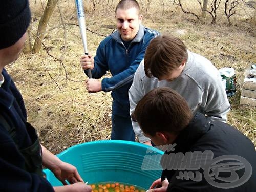 A tojásfeltörést Grass irányította és motiválta