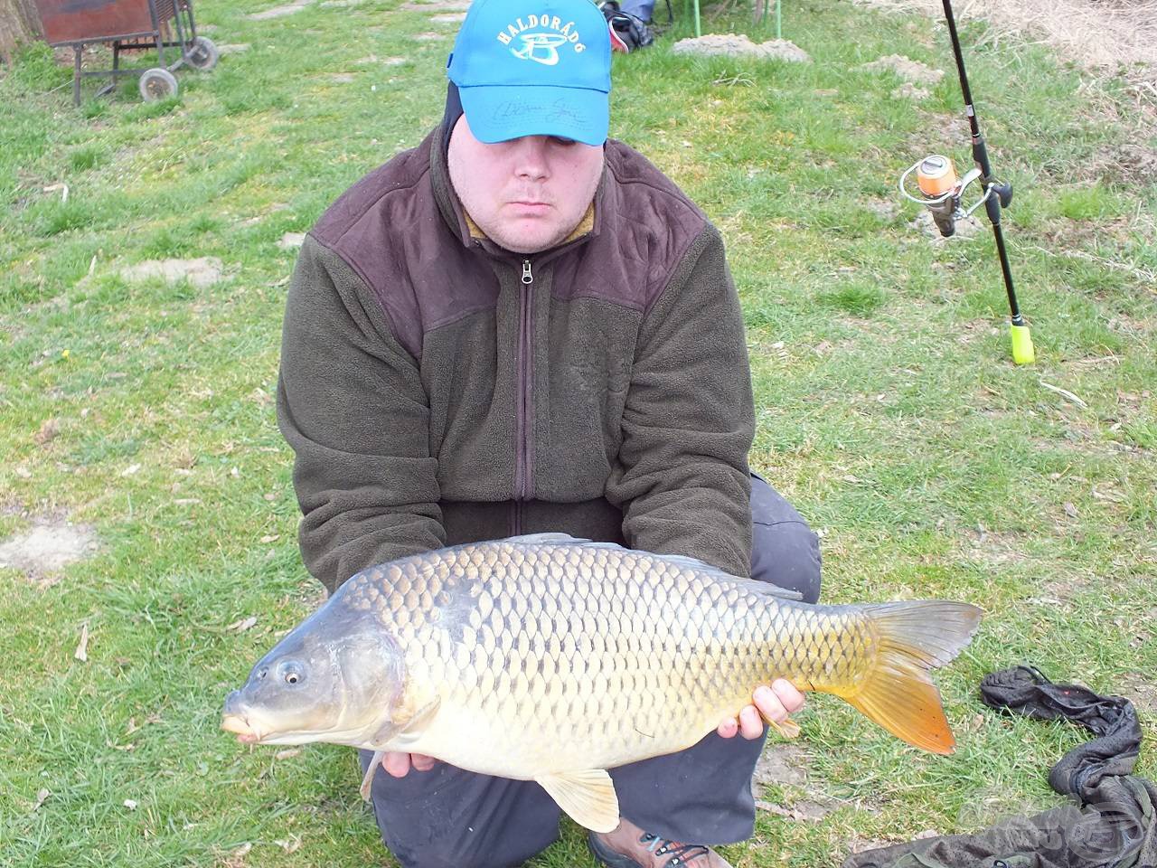 8,8 kg-os tőponty - Vad Pontyos kukoricára éhezett meg