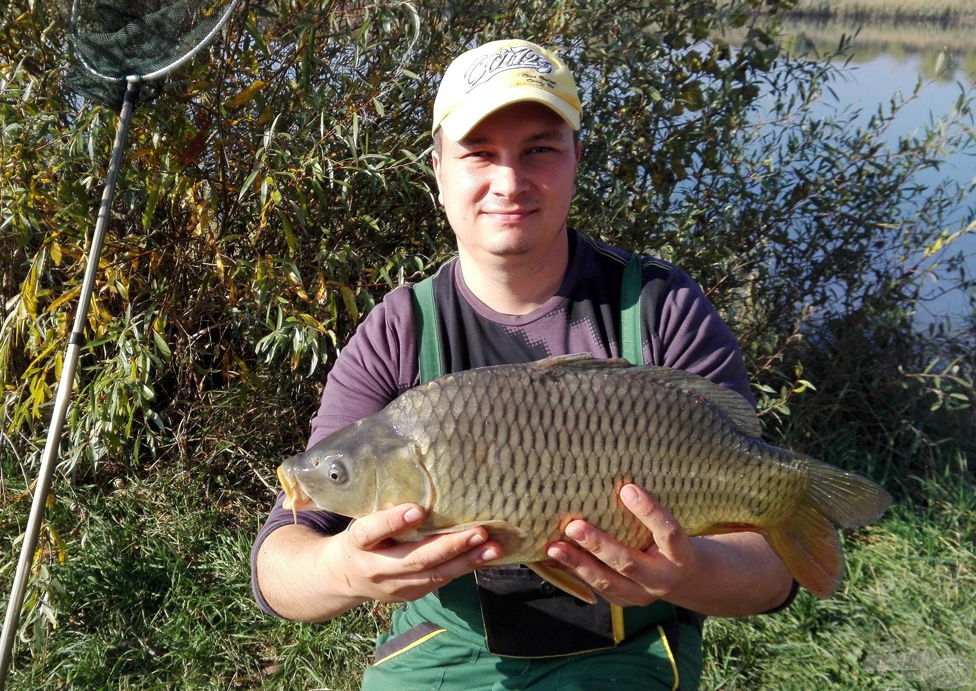 Tőponty 1,8 kg