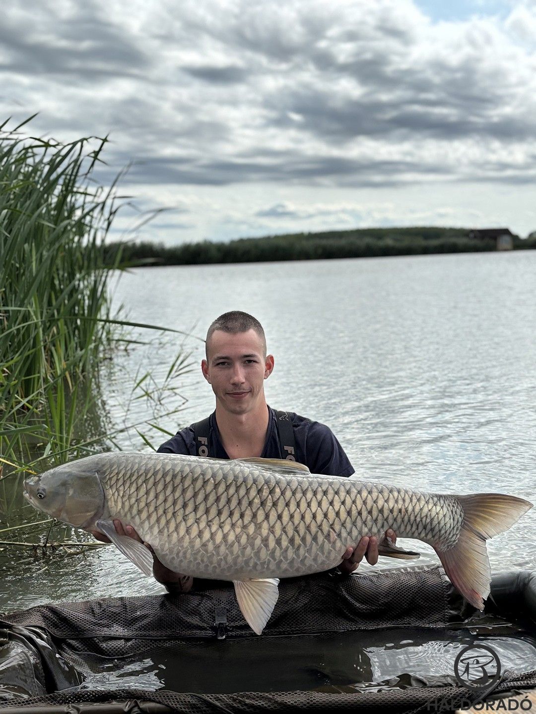 Tomi egy szép amurral