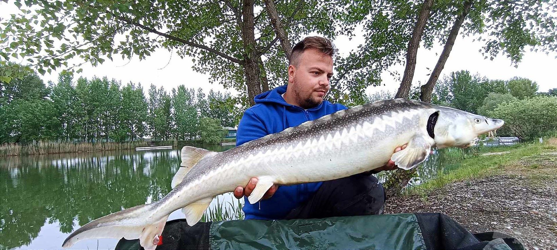 Egy váratlan vendég a magmixes etetésen, de én ennek a halnak is örülök mindig