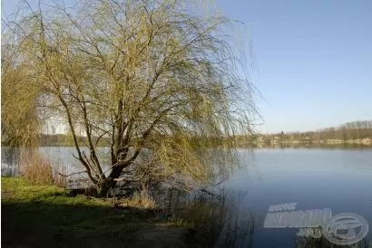 Csukák, pontyok és miegymás bodorkaívás idején