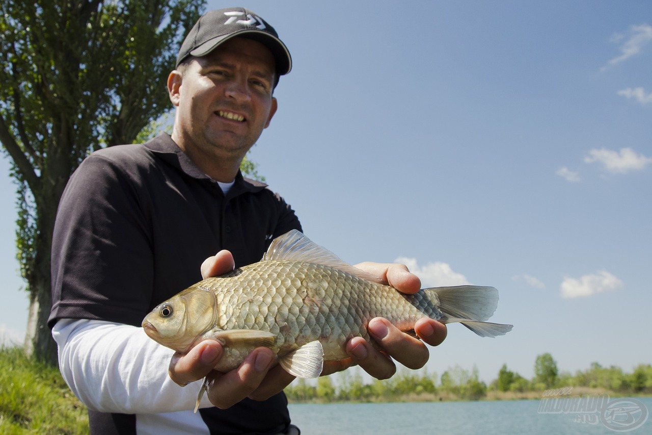 A Team Daiwa Feeder 12QX használatával minden hal fárasztása óriási élményt jelent, legyen az egy termetesebb kárász…