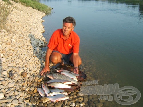 Idei zsákmány a csatornából: leánykoncér, paduc, jász, szilvaorrú, kb. 12 kg összsúlyban