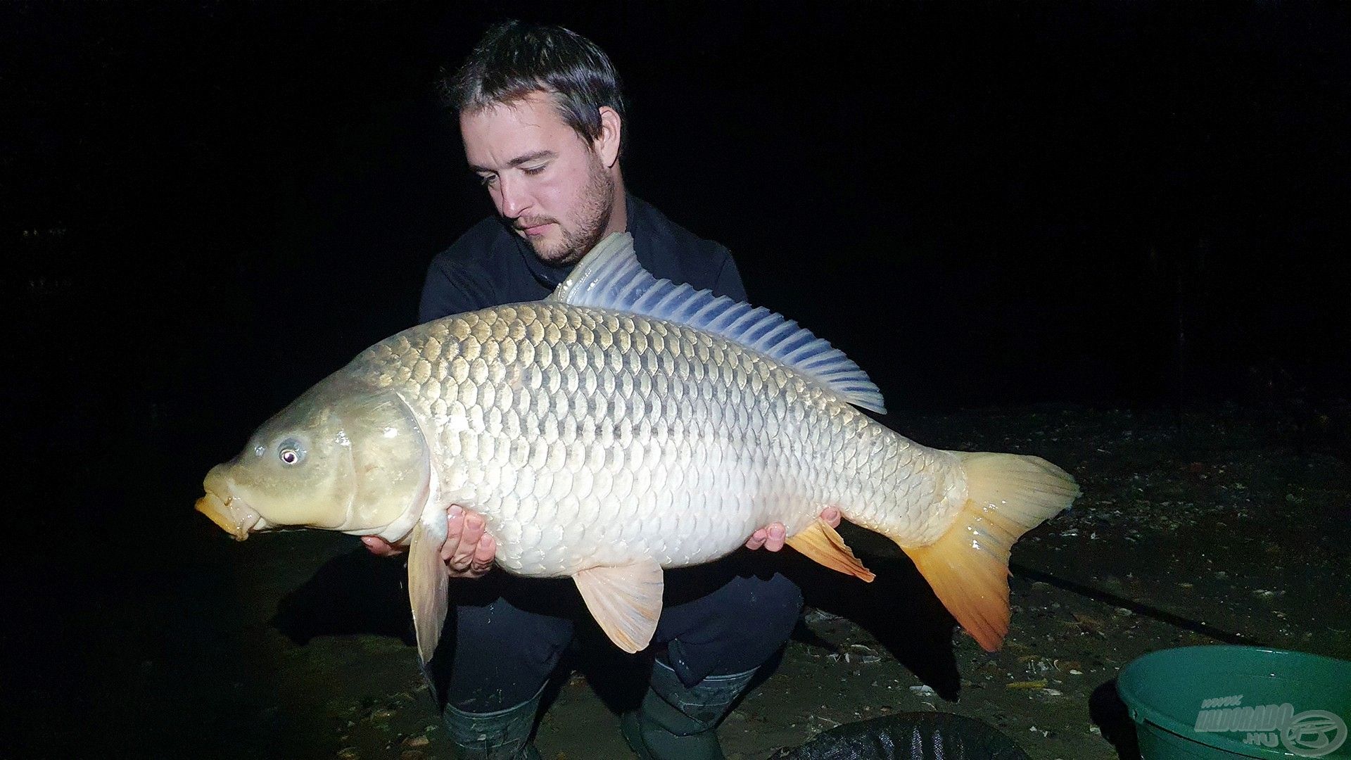 Én sem panaszkodhattam, egy picit lemaradva, de nekem is sikerült egy 11,97 kg-os, öreg pocakost fogni