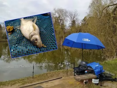 Édes nap a keszegekkel