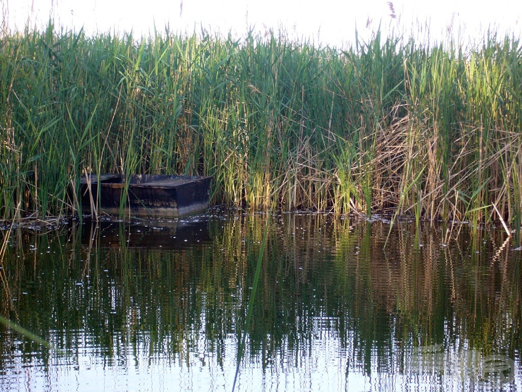 Szélmezői idill