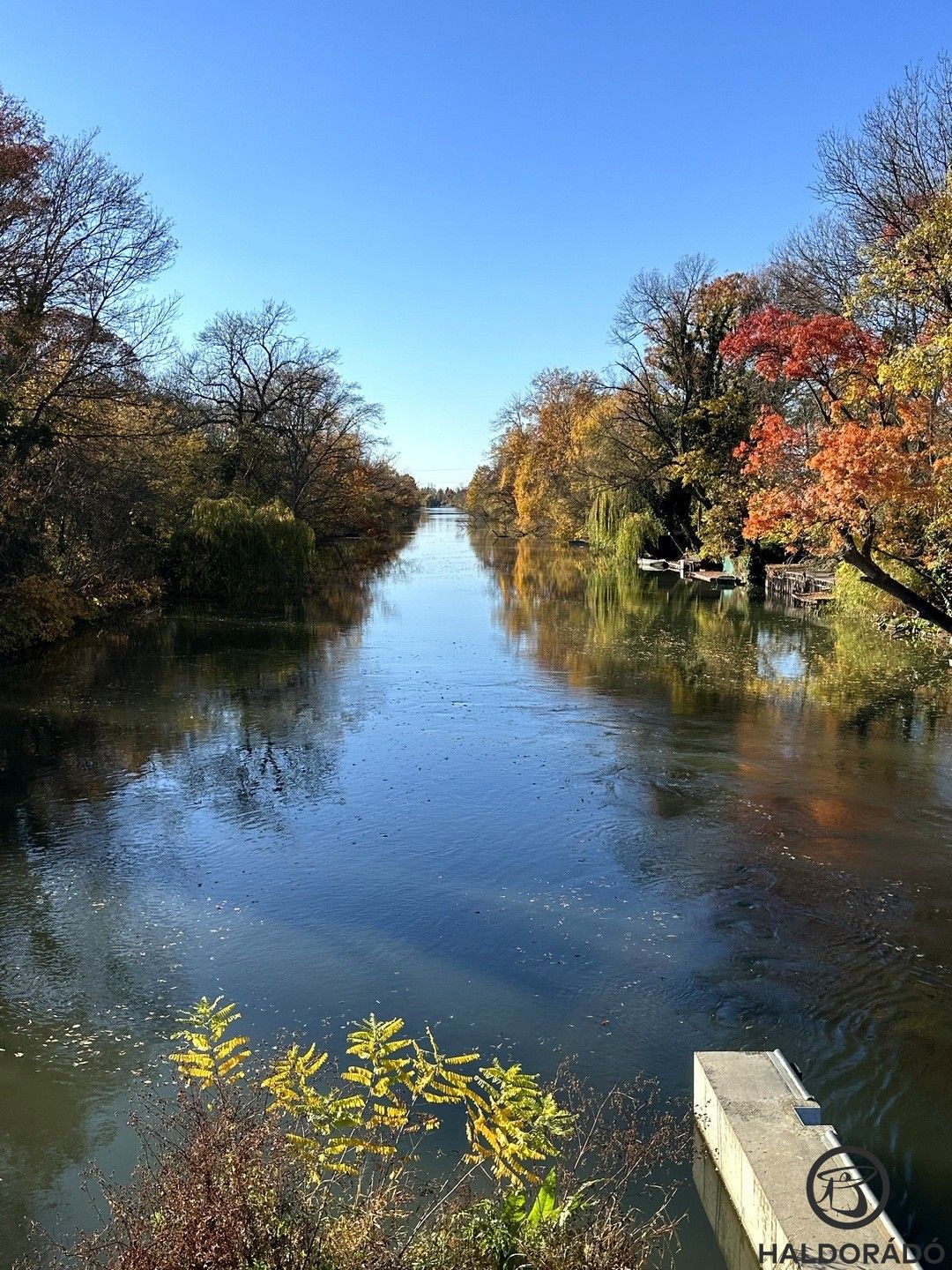 Őszi színekben tündököl a holtág