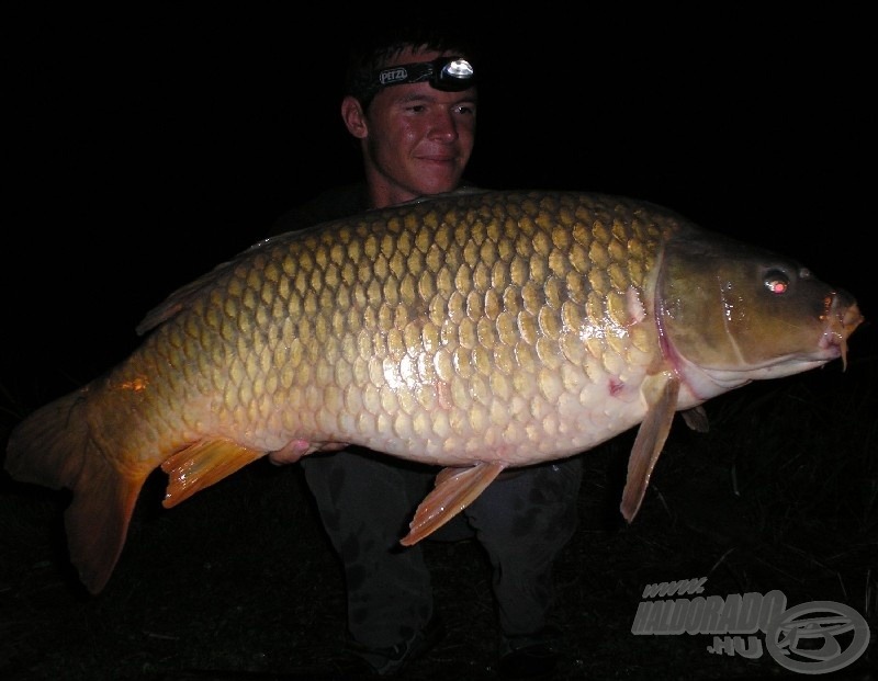 Aznap éjjel érkezett a túrám legnagyobb, 13,28 kg-os pontya is