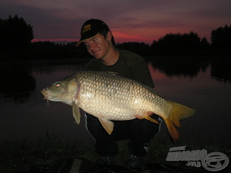 A hajnali vendég, aki a májas jellegű, Big Carp fantázianevű bojlit választotta