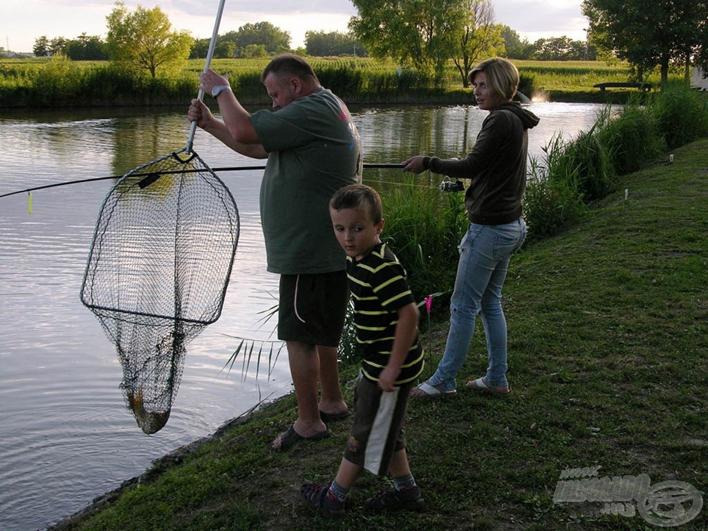 … az újabb potyka