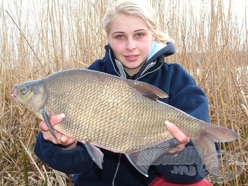 Első rekordlistás halam, egy nászkiütésekkel tarkított dévérkeszeg: 3,16 kg!