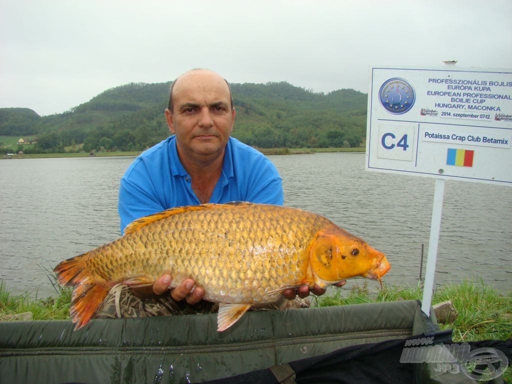 Ha koi, akkor Potaissa