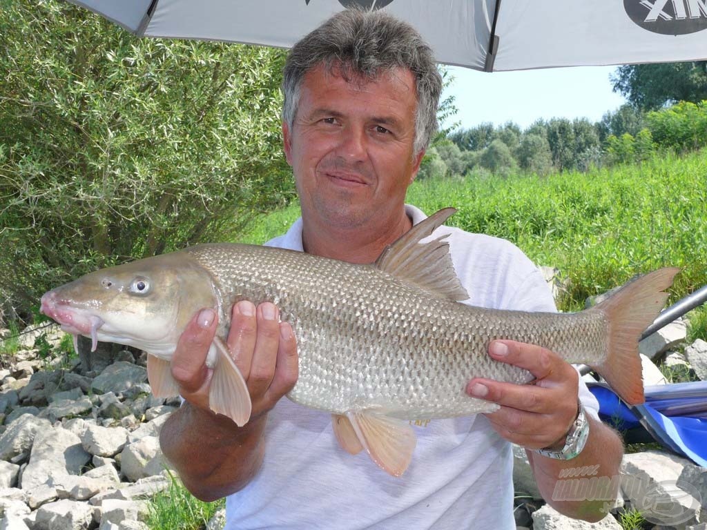 Józsi már az első dunafalvai horgászatán egy szép 3 kilós márnát fogott