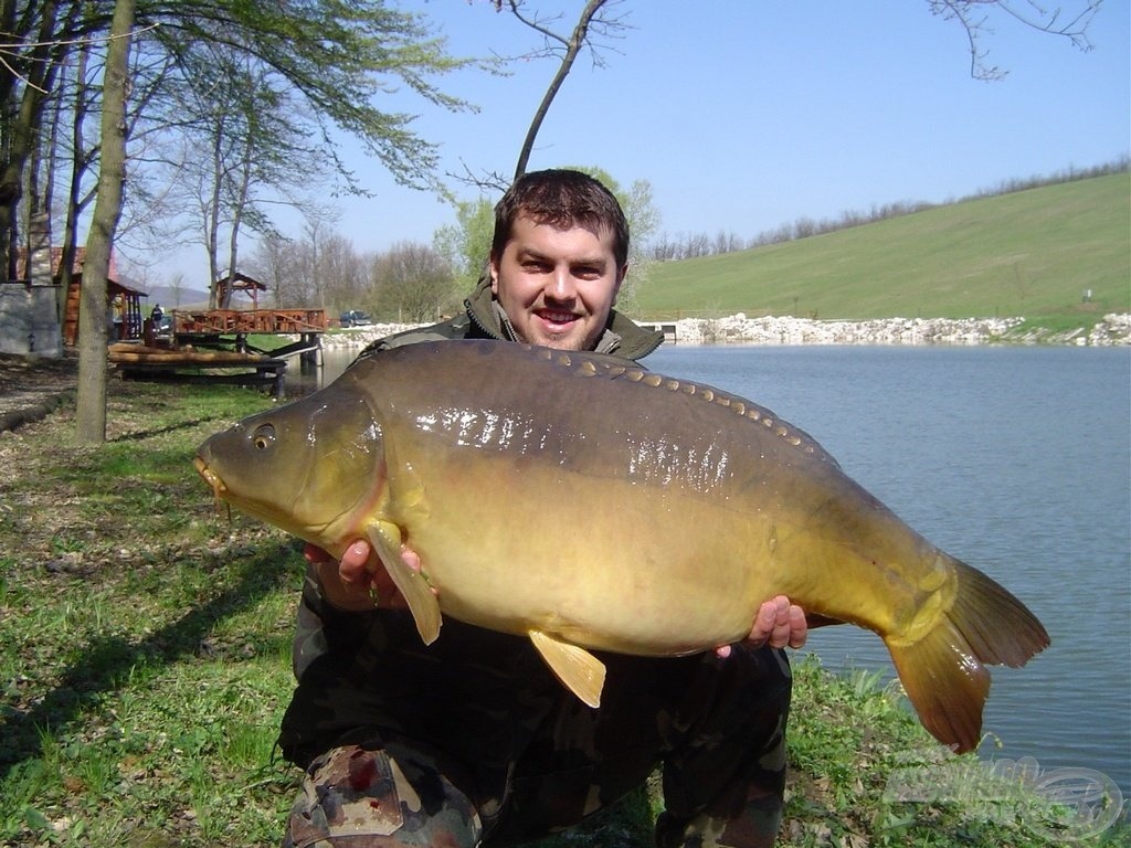 A hibátlan, 19,20 kg-os tükörponty