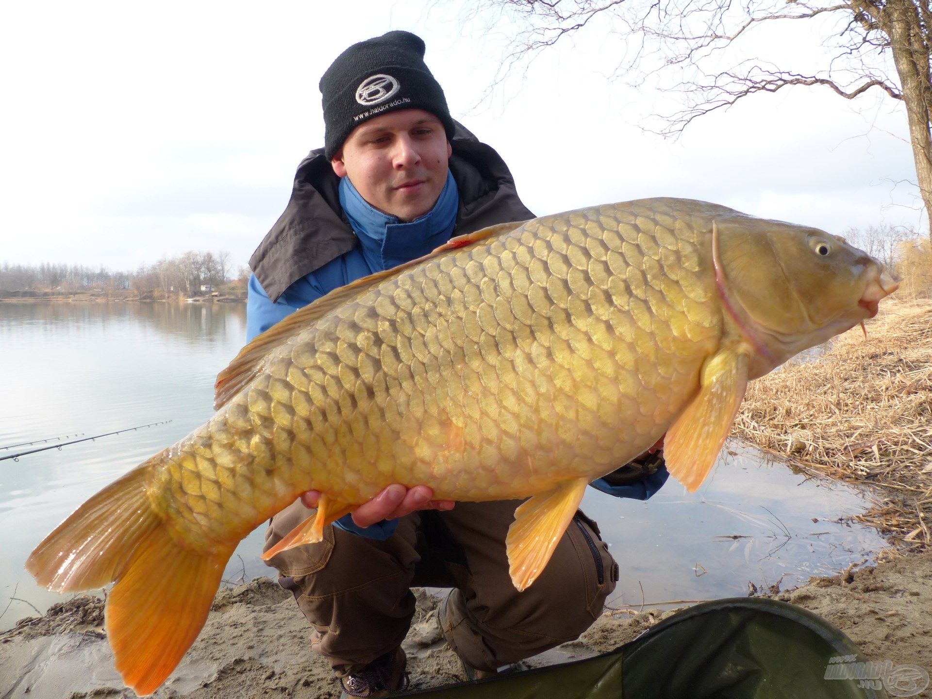 Az idei esztendő első 10 kg feletti hala volt ez a gyönyörű színekben pompázó tőponty