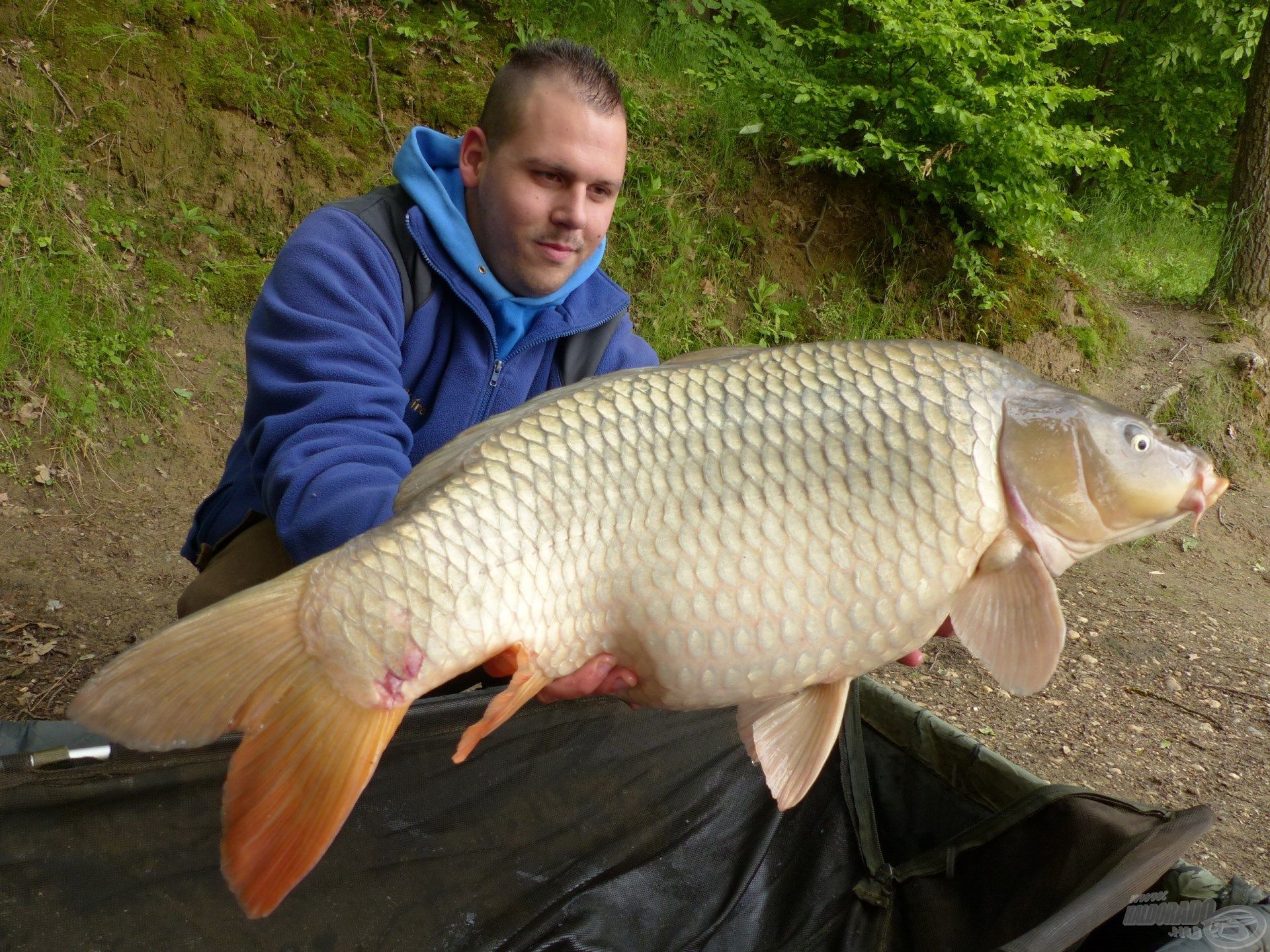 … egy szép, 10 kg feletti tőponty