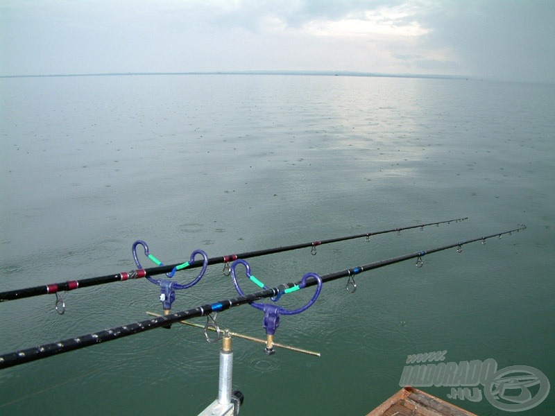 A magyar tenger hatalmas, pont ezért nem könnyű a halakat a horgászhelyünk közelében koncentrálni, és közülük a pontyokat kiválogatni