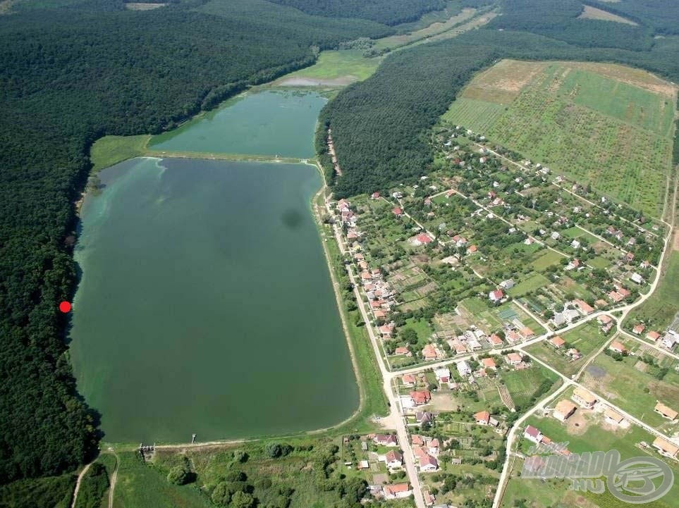 Horgászhelyem a tó erdő felőli oldalára esett