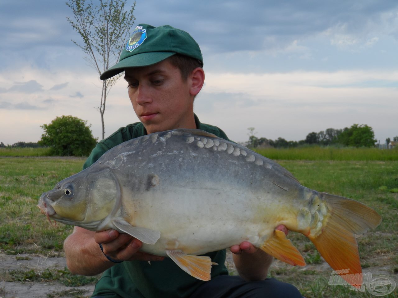 A peca utolsó hala