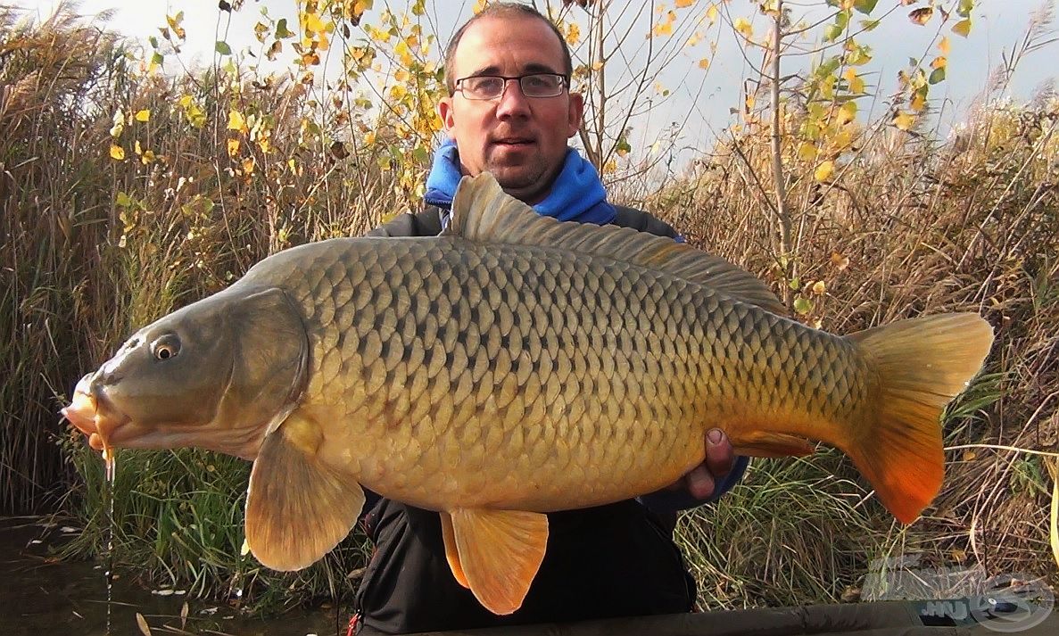 A nap legnagyobb hala ez az egészséges, 11,28 kg-os tőponty volt