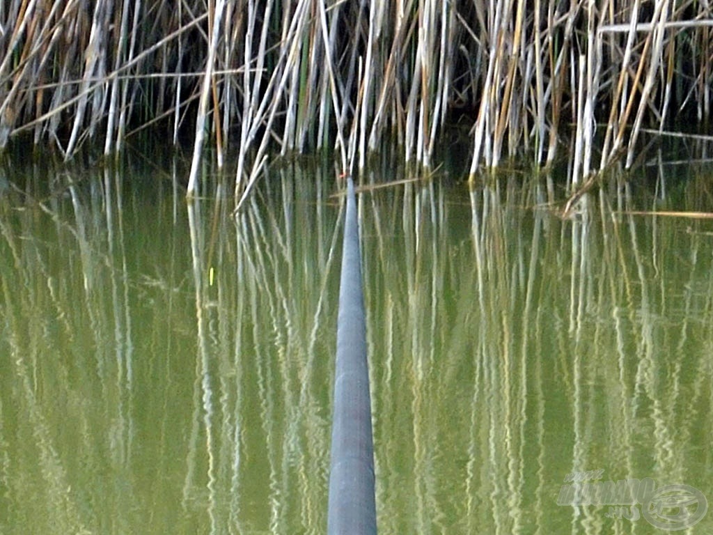 Minél közelebb a nádhoz, annál jobb