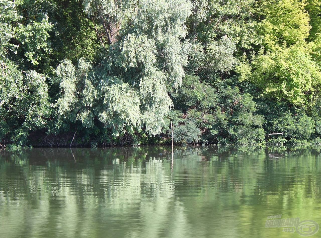 Csak egy költői kérdés, ha egy területen tilos a horgászat, a halászatot ugyanott miért nem tiltják?