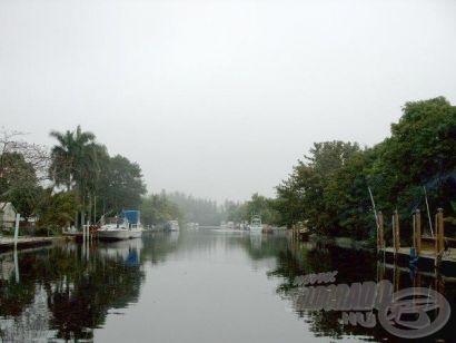 Floridai horgászatok - Hátborzongató kalandok az Everglades mocsárban