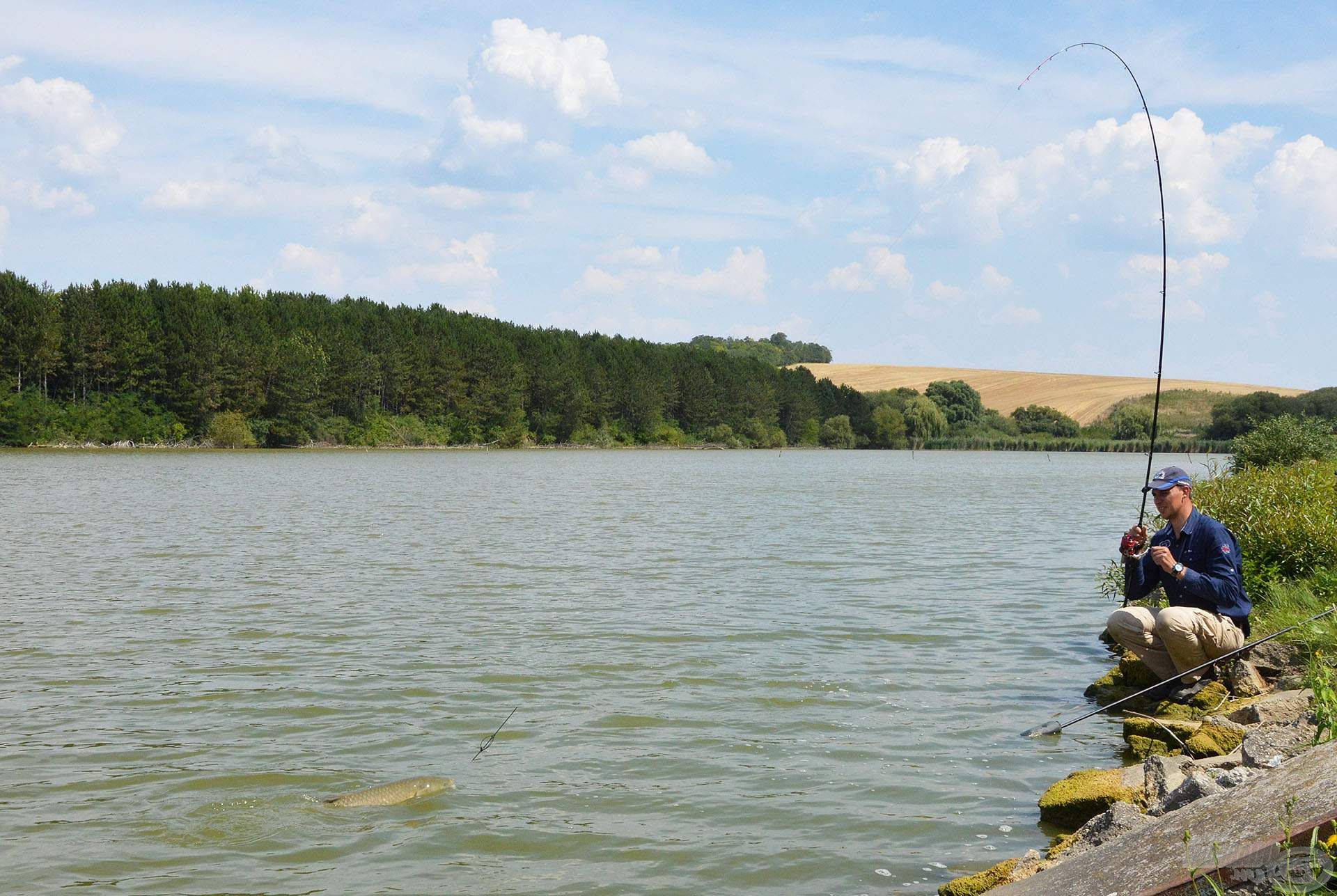 Félelmetes látvány, amikor termetes ellenfél először mutatja meg magát a felszínen