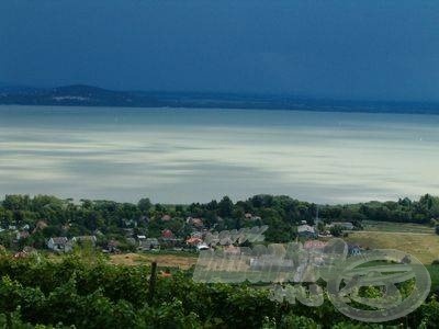 A Balaton a legismertebb otthona