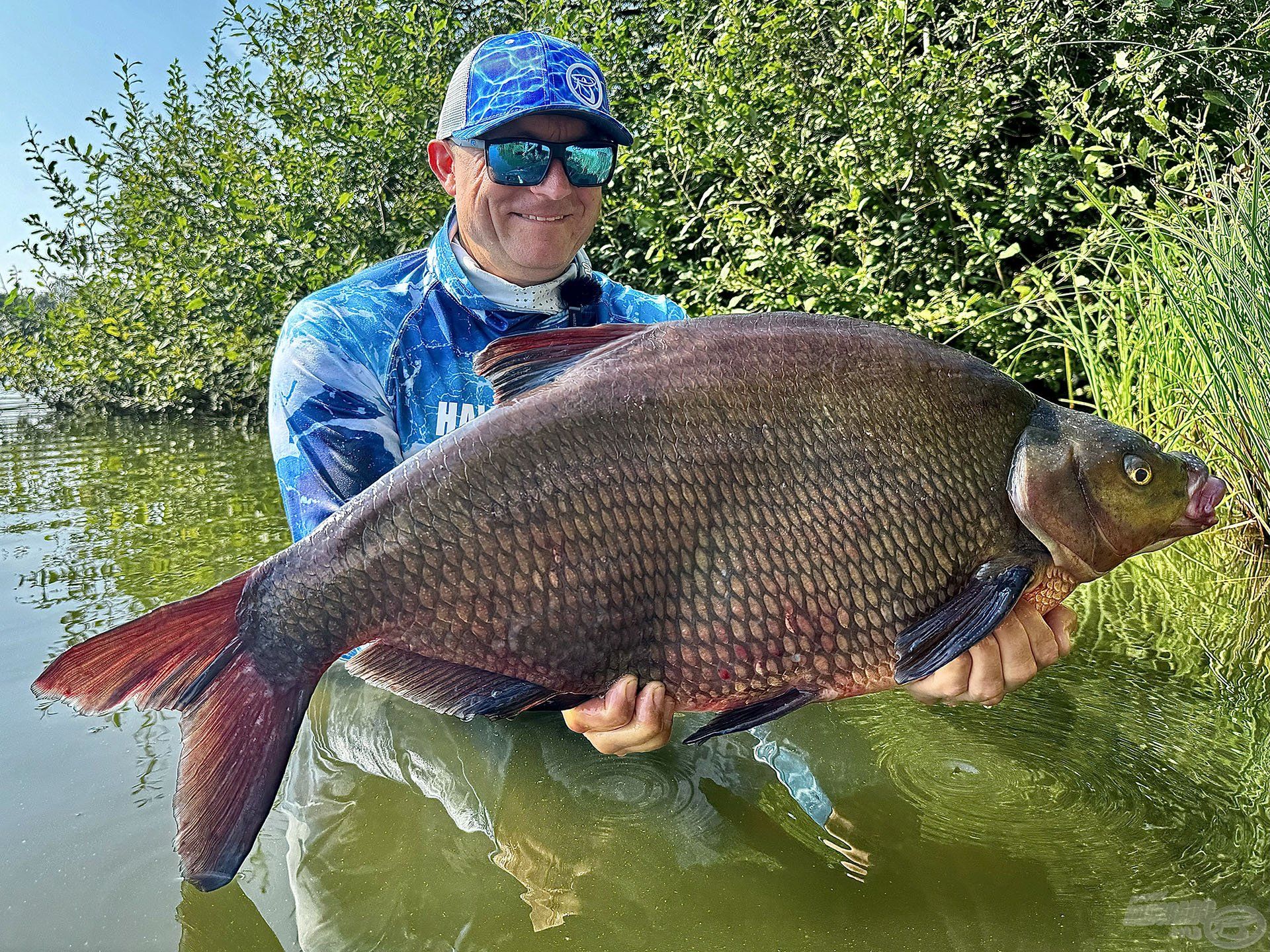 Egy újabb, közel 7 kg-os dévérkeszeg