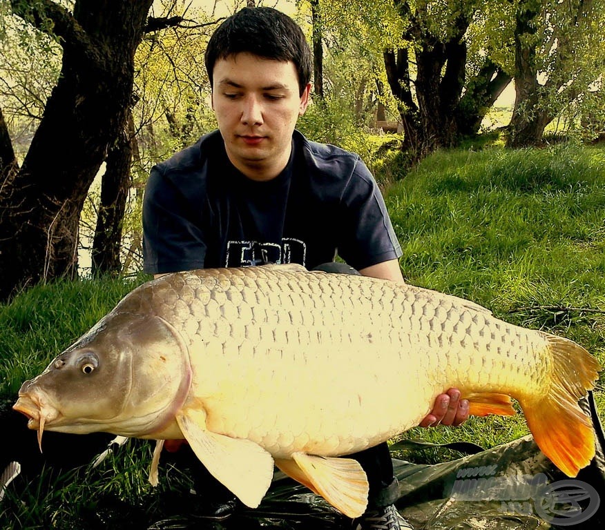 Balázs 16,50 kg-os gyönyörű pontya is Magyar Betyáros Pellet Packra érkezett, így ismét ezt használtuk a Magyar Betyár etetőanyag mellett