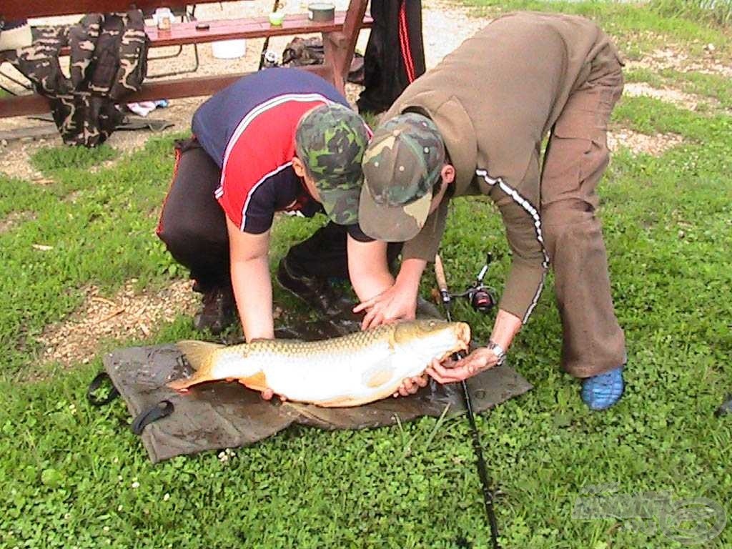 A ponty pontos súlya 8,5 kg