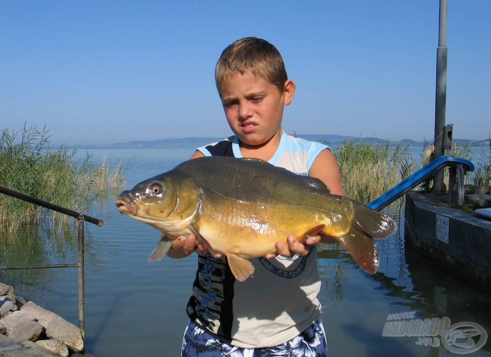 Sziszi rakóval fogott pontya