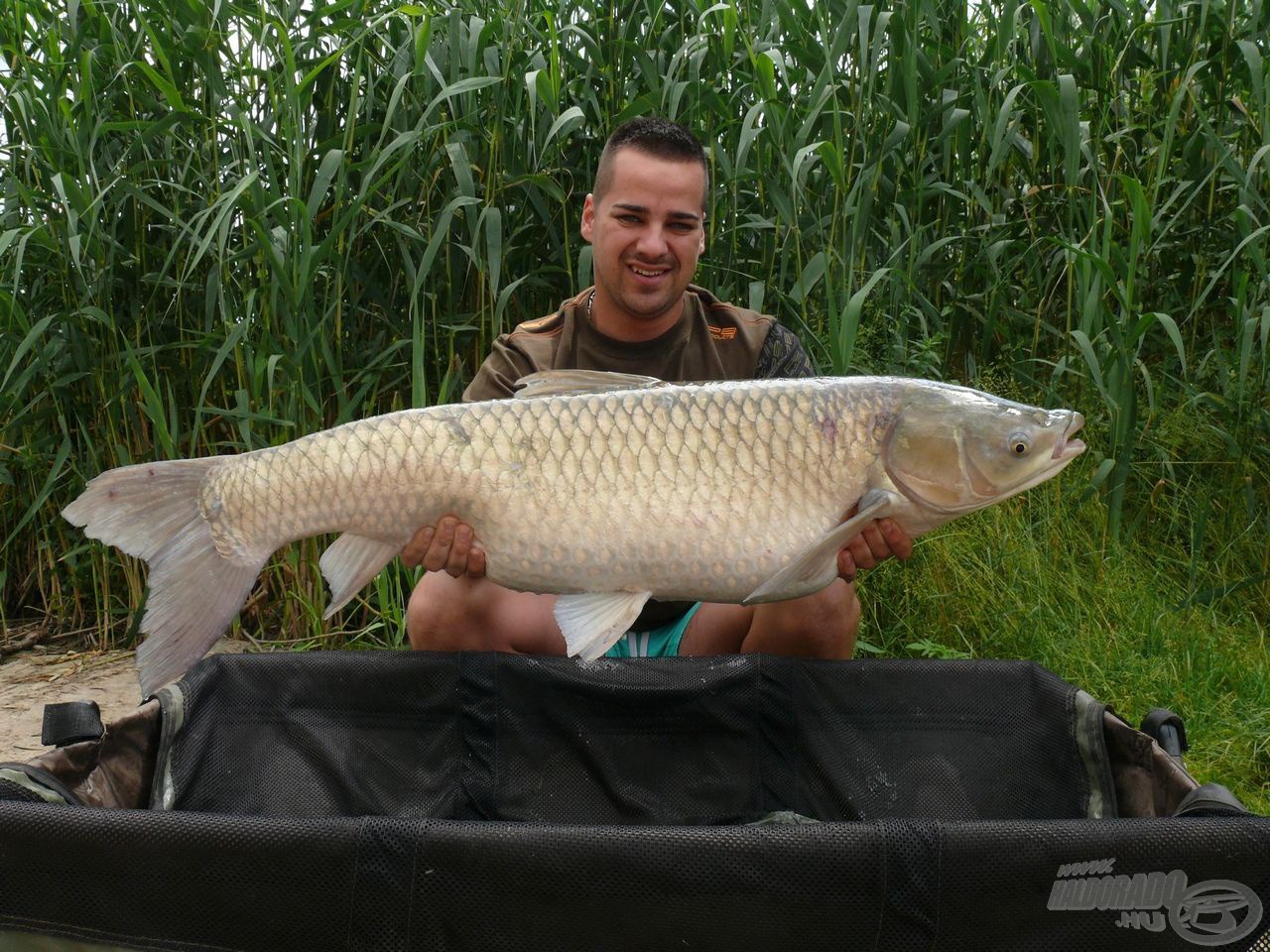 Első halam egy 13,5-kg-os torpedó…