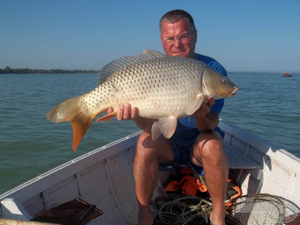 7,80 kg megfelel? Sőt, már több mint elég!