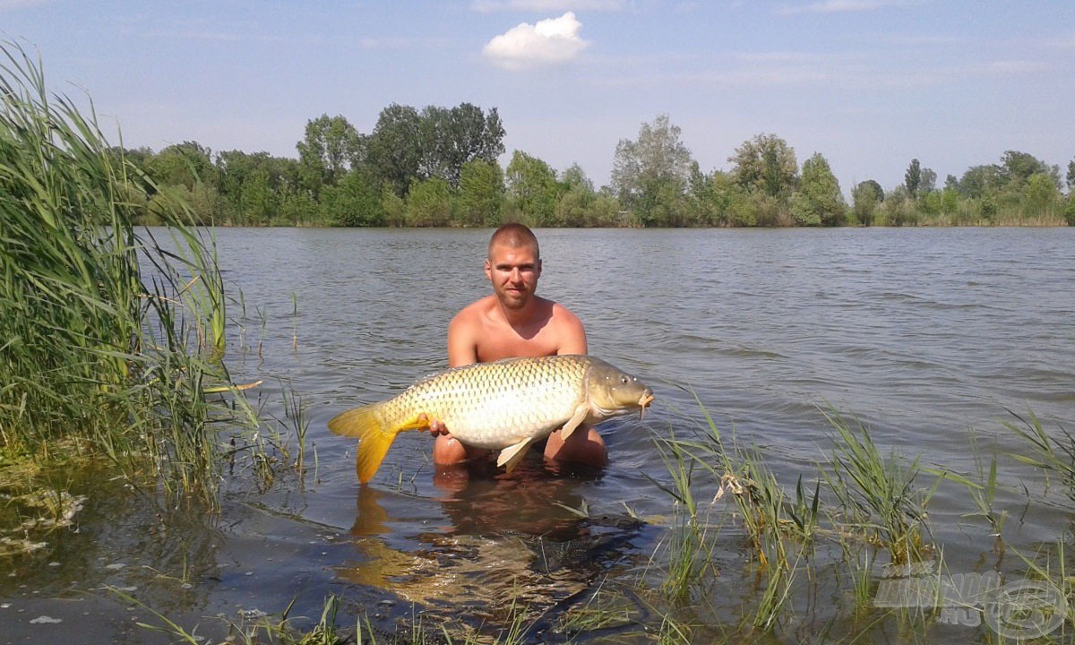 Egy utolsó kép a visszaengedés előtt