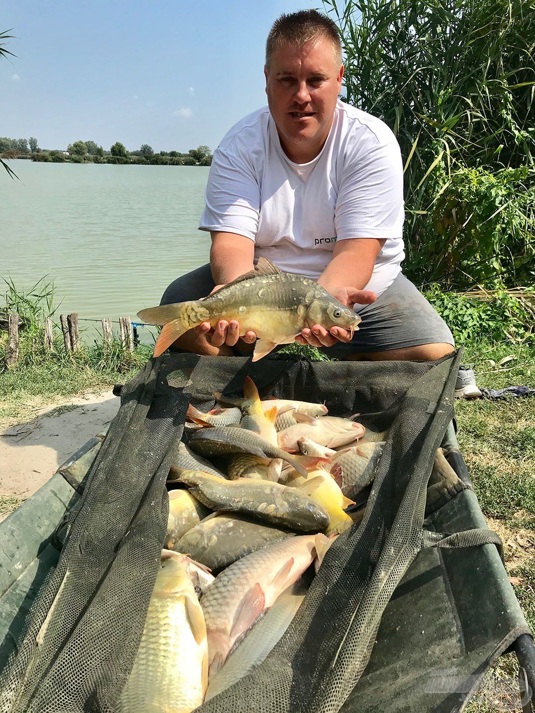 Tormási Attila 37,5 kg-os fogással nyerte az „A” szektort és ő fogta ezen a napon a mezőny legtöbb halát is!