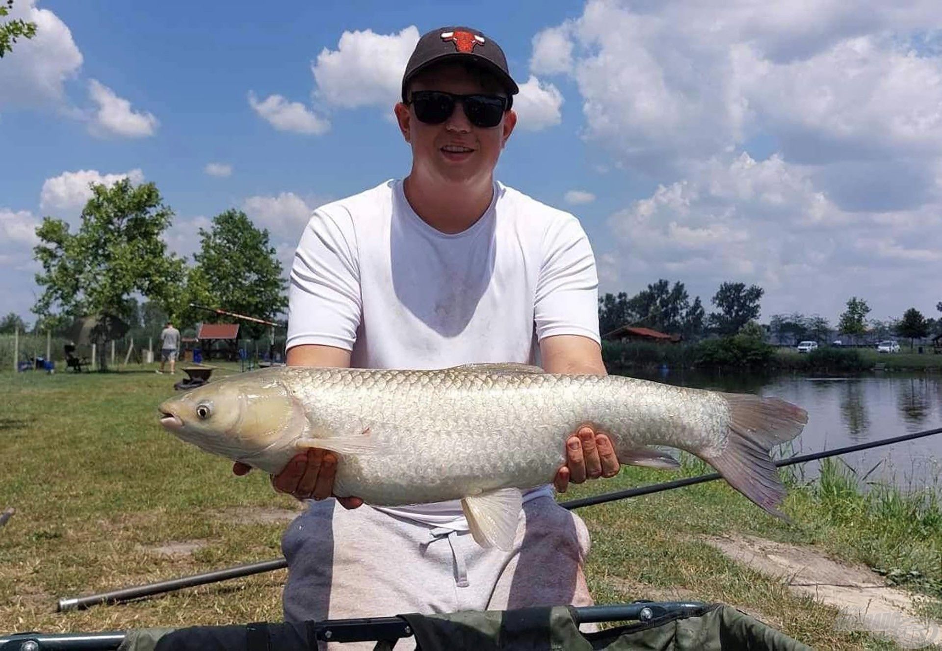 Gyakori vendégek voltak az amurok is, a nyári időszak többek között róluk szól a tavunkon