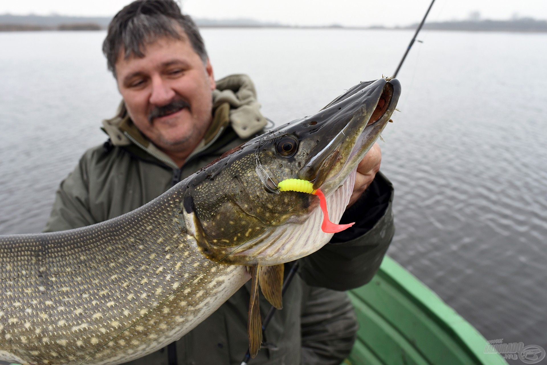  A winged jiggel felkínált csalit imádják a csukák, ehhez javasolt a volfrám előke