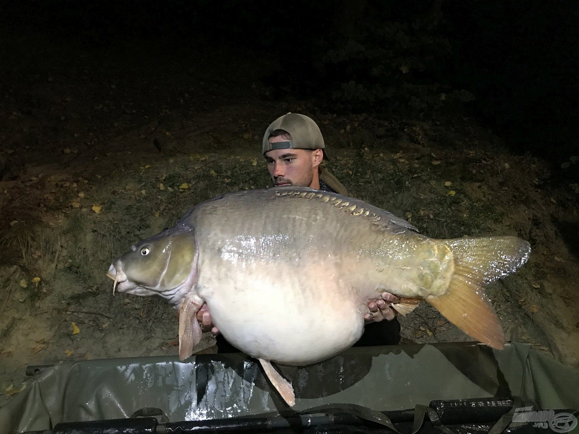 Első este tiszteletét tette egy 22 kg-os, pocakos tükrös