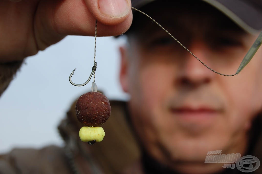 A főzött csalik alkalmazásakor minden esetben Corn Poppers Boilie-t használtunk a bojli mellé