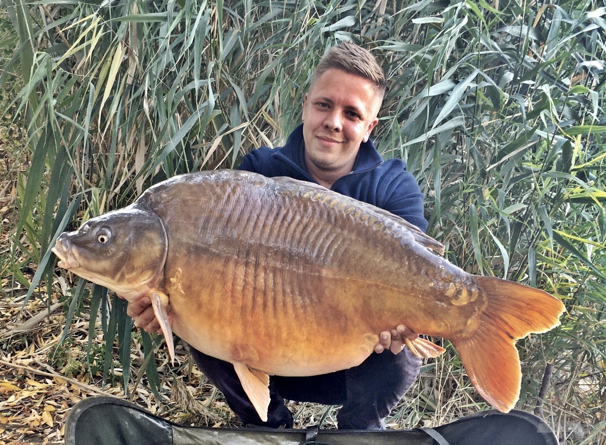 Íme, a hőn áhított „Big Carp”! Rengeteg munka, elhivatottság és fanatizmus áll e csodálatos ponty megfogása mögött! Sikerült újra 20 kg-ot meghaladó pontyot fognom, ráadásul egy olyan vízből, amelyre nagyon büszke vagyok!