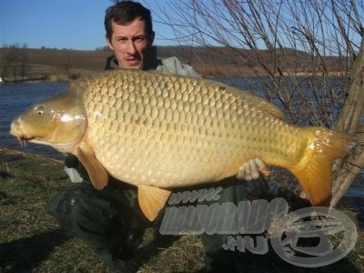 A legnagyobb miszlai ponty súlya 20,1 kg (forrás: www.miszlai-to.hu)