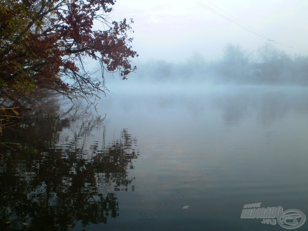 Szunnyadó víztükör