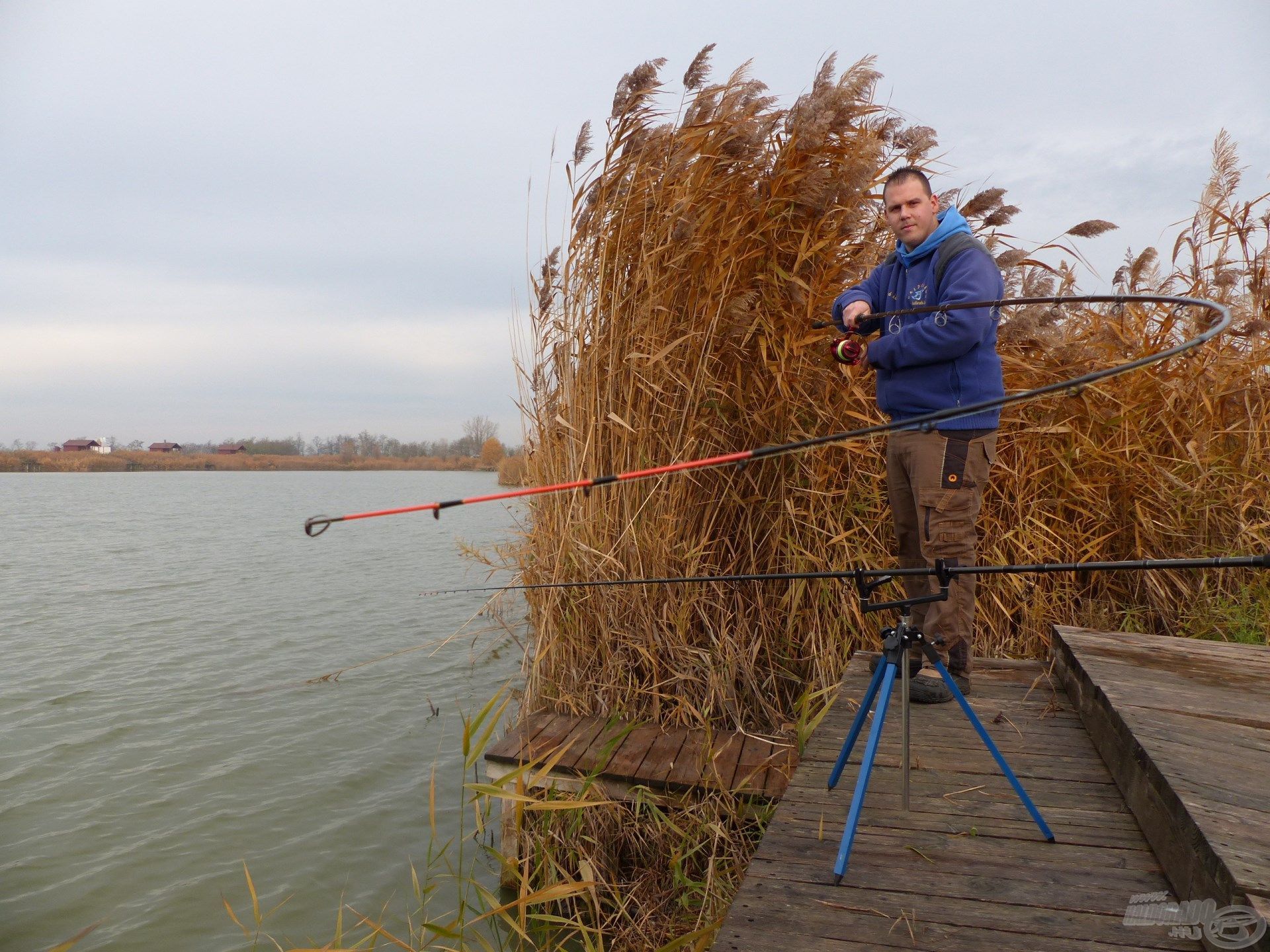 A jéghideg víz ellenére a nagytestű pontyok megdolgoztatják a horgászt és a felszerelést egyaránt