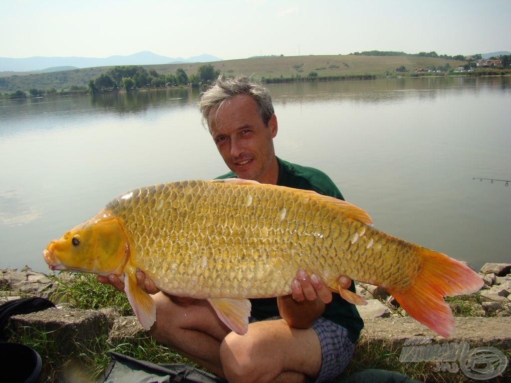 A koi 75 cm!