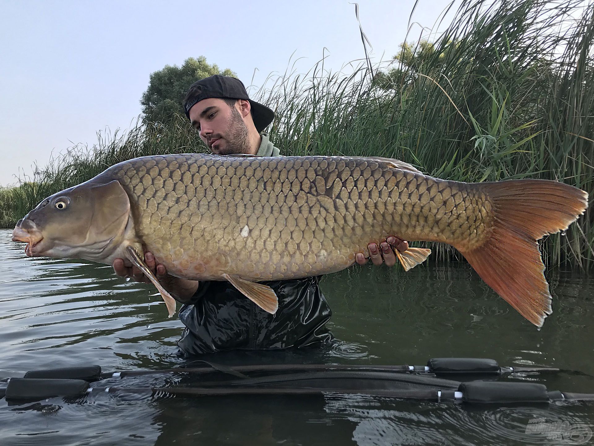 A túra ékköve ez a 18 kg-os nyurgaponty volt